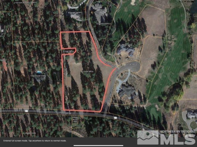 1 Pine Mesa Ct, Washoe Valley, NV 89704 - photo 10