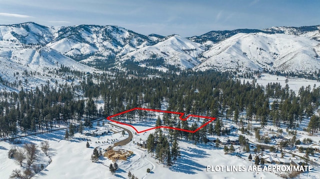 1 Pine Mesa Ct, Washoe Valley, NV 89704 - photo 12