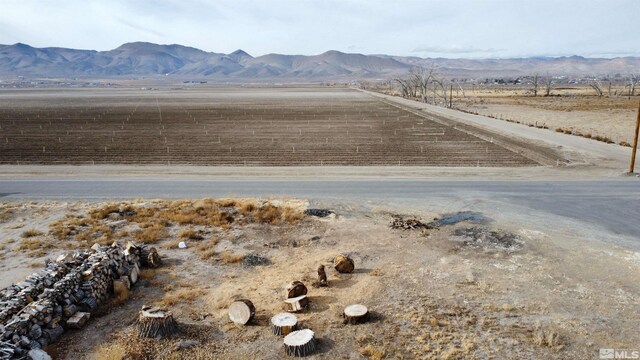 1 Smoke Tree Ln, Yerington, NV 89447 - photo 3