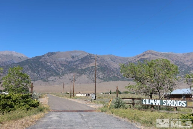 316 Gillman Springs Dr, Austin, NV 89310 - photo 2