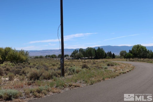 316 Gillman Springs Dr, Austin, NV 89310 - photo 4