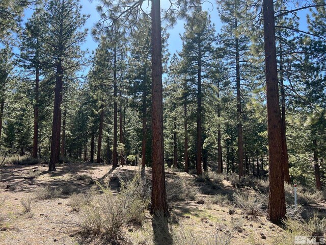140 Walton Toll Rd, Carson City, NV 89705