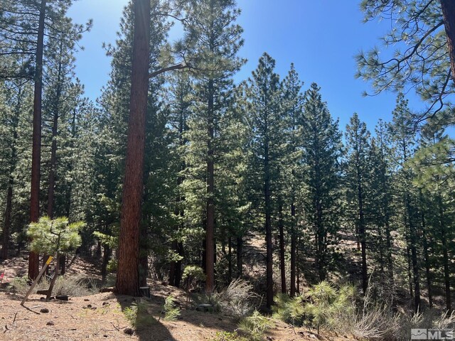 140 Walton Toll Rd, Carson City, NV 89705