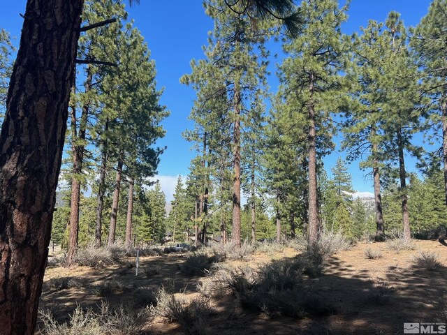 140 Walton Toll Rd, Carson City, NV 89705