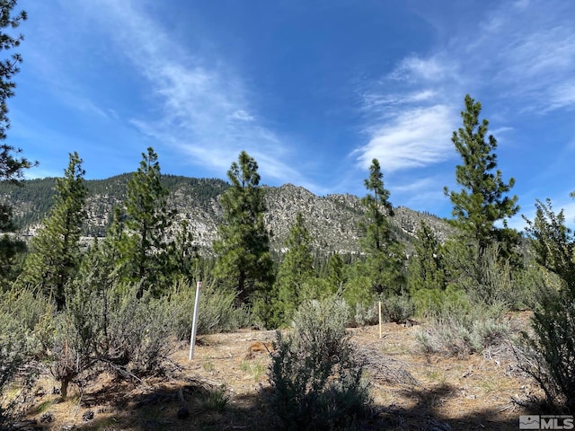 122 Chamberlain Ct, Carson City, NV 89705