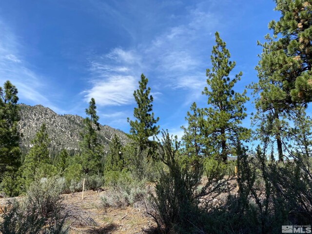 122 Chamberlain Ct, Carson City, NV 89705
