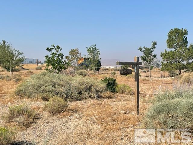 4505 Shirlee Ave, Silver Springs, NV 89429 - photo 1