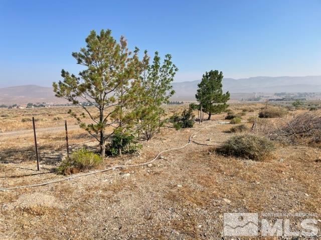 4505 Shirlee Ave, Silver Springs, NV 89429 - photo 14