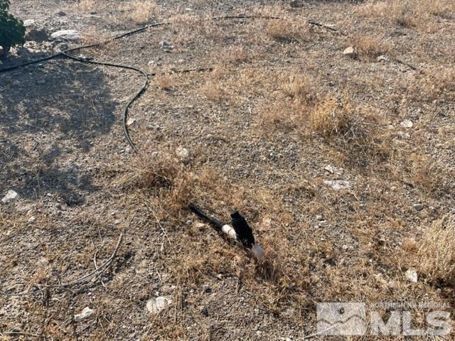 4505 Shirlee Ave, Silver Springs, NV 89429 - photo 15