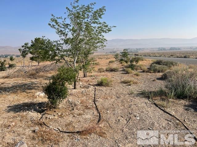 4505 Shirlee Ave, Silver Springs, NV 89429 - photo 17