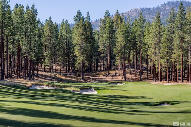 199 Walton Toll Rd, Carson City, NV 89705