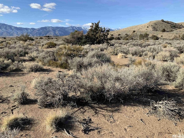 1290 Jo Ln, Gardnerville, NV 89410