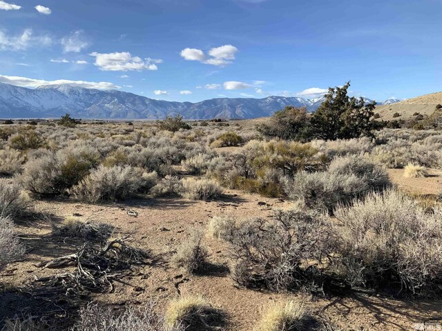 1290 Jo Ln, Gardnerville, NV 89410