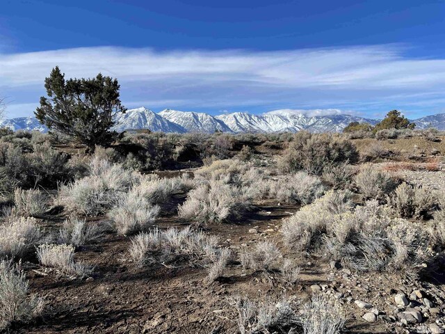 1290 Jo Ln, Gardnerville, NV 89410