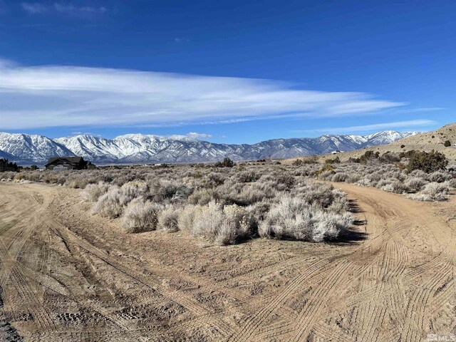 1290 Jo Ln, Gardnerville, NV 89410