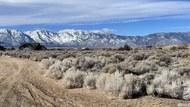 1290 Jo Ln, Gardnerville, NV 89410