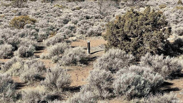 1290 Jo Ln, Gardnerville, NV 89410