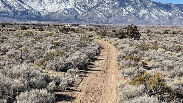1290 Jo Ln, Gardnerville, NV 89410