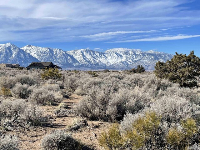1290 Jo Ln, Gardnerville, NV 89410
