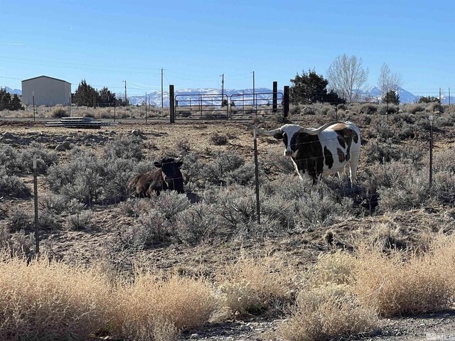 1290 Jo Ln, Gardnerville, NV 89410