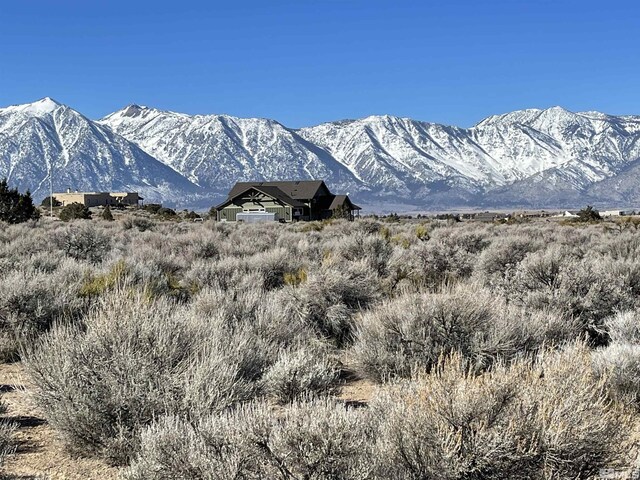 1290 Jo Ln, Gardnerville, NV 89410