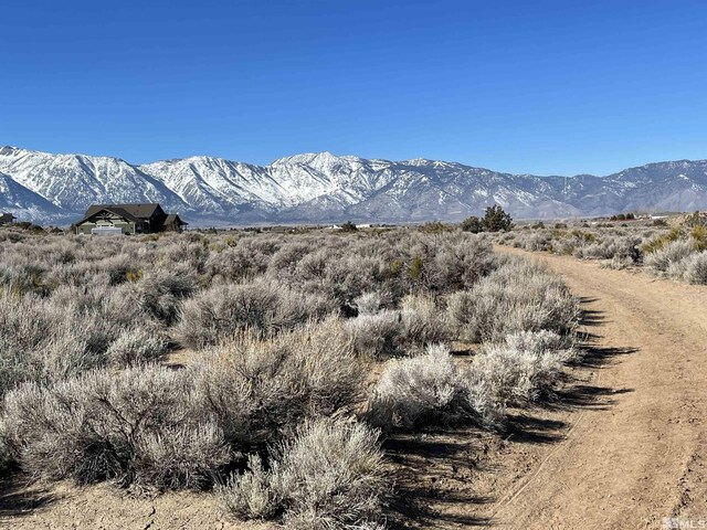 1290 Jo Ln, Gardnerville, NV 89410
