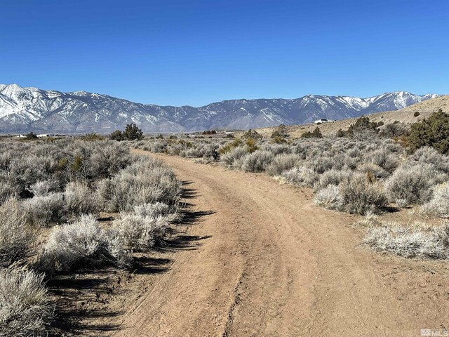 1290 Jo Ln, Gardnerville, NV 89410