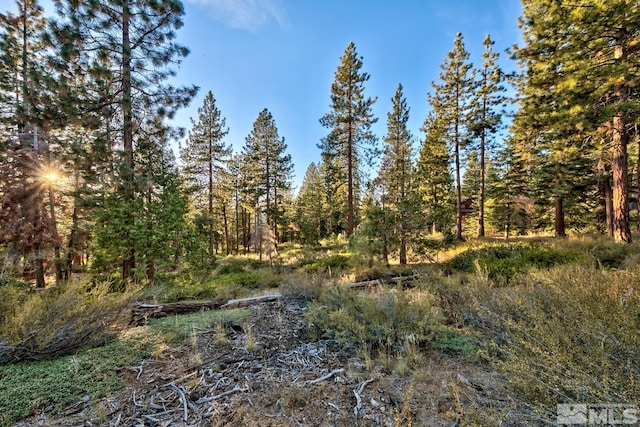 1227 US Highway 50, Glenbrook, NV 89413