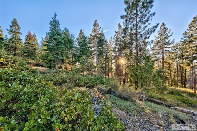 1227 US Highway 50, Glenbrook, NV 89413