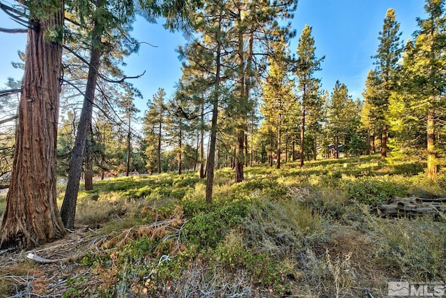 1227 US Highway 50, Glenbrook, NV 89413