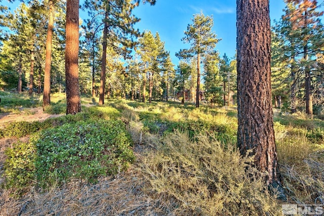 1227 US Highway 50, Glenbrook, NV 89413
