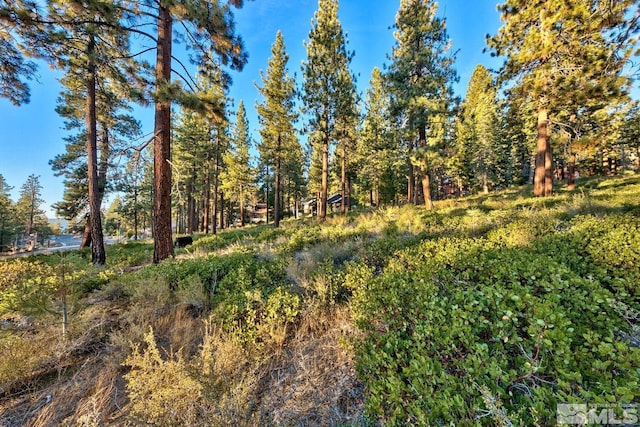 1227 US Highway 50, Glenbrook, NV 89413