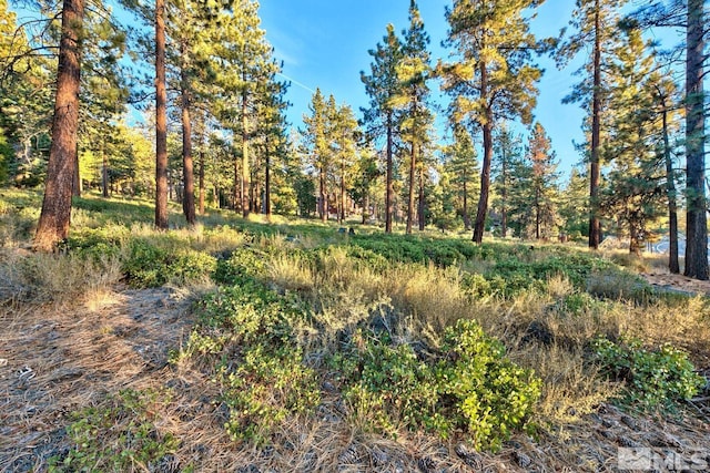 1227 US Highway 50, Glenbrook, NV 89413