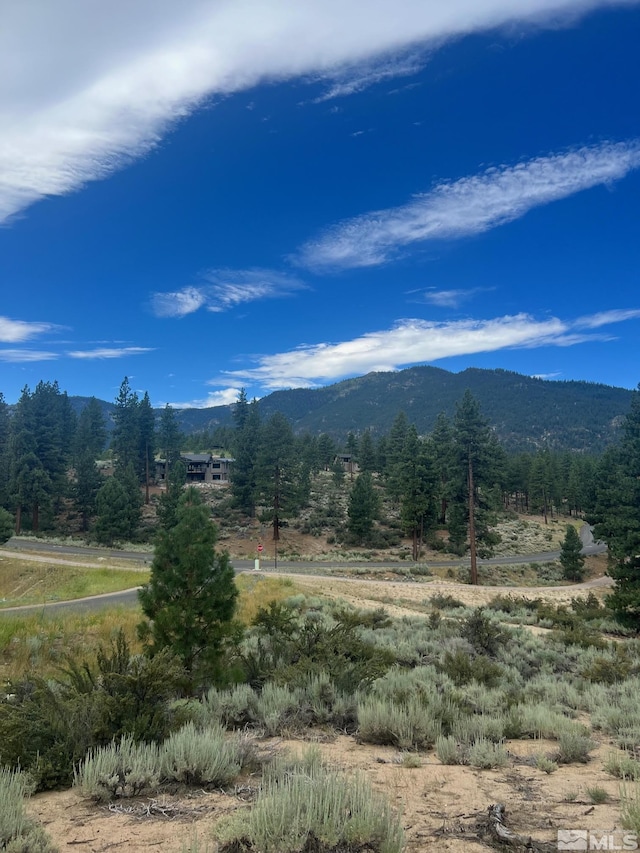 569 Headwaters Way, Carson City, NV 89705