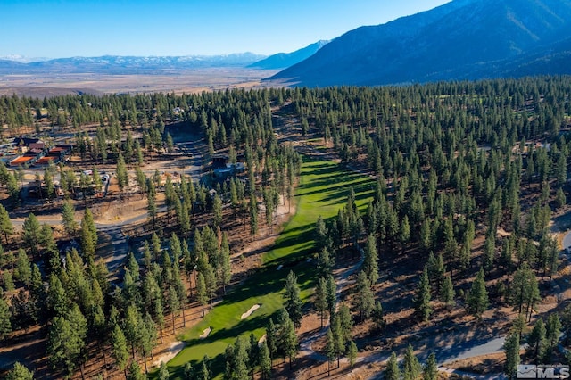 233 Walton Toll Rd, Carson City, NV 89705
