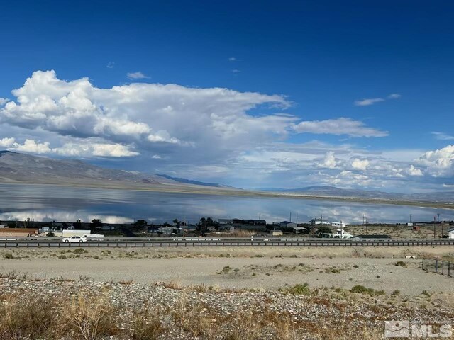 393 Golden Willow, Walker Lake, NV 89415 - photo 1