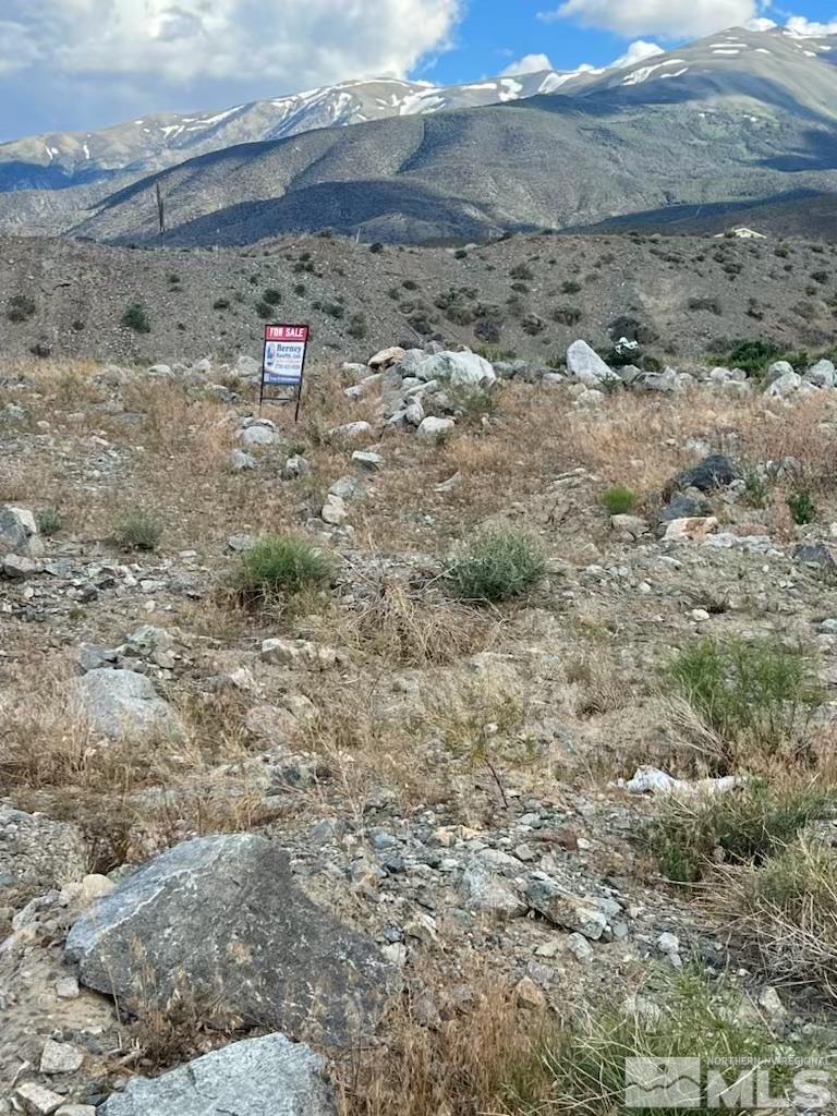 393 Golden Willow, Walker Lake, NV 89415 - photo 3