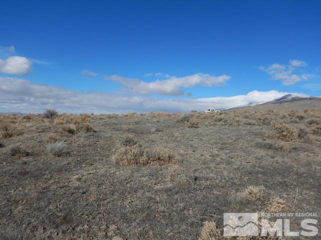 11230 Winter River Dr, Lovelock, NV 89419 - photo 3