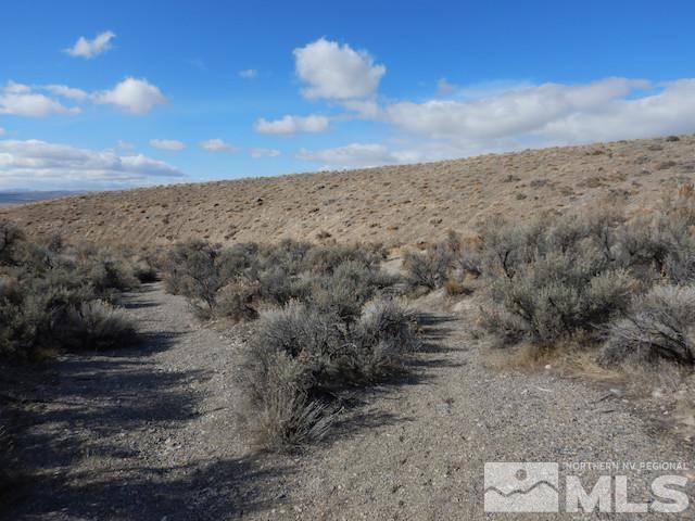 11230 Winter River Dr, Lovelock, NV 89419 - photo 4