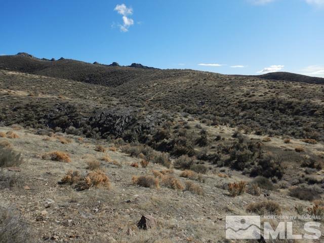 11230 Winter River Dr, Lovelock, NV 89419 - photo 5
