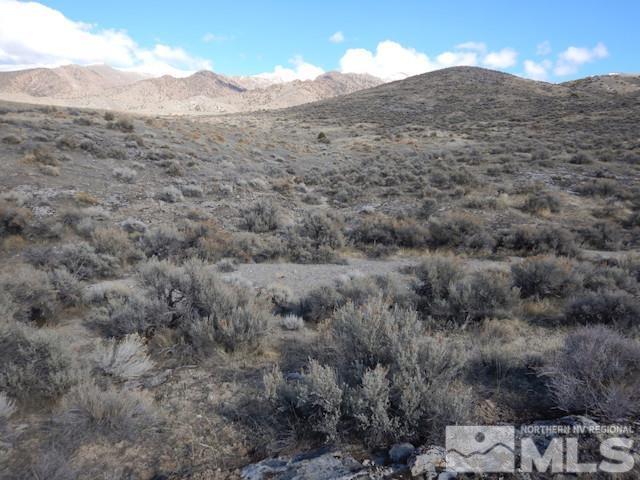 11230 Winter River Dr, Lovelock, NV 89419 - photo 7