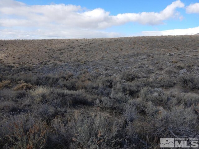 11230 Winter River Dr, Lovelock, NV 89419 - photo 8