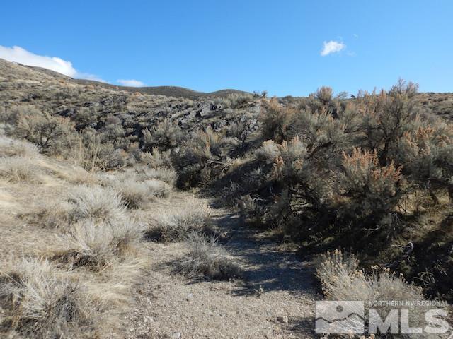 11230 Winter River Dr, Lovelock, NV 89419 - photo 9