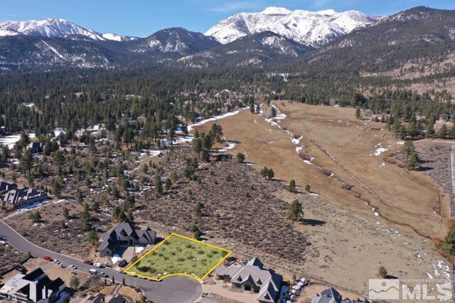 16885 Salut Ct, Reno, NV 89511 - photo 18