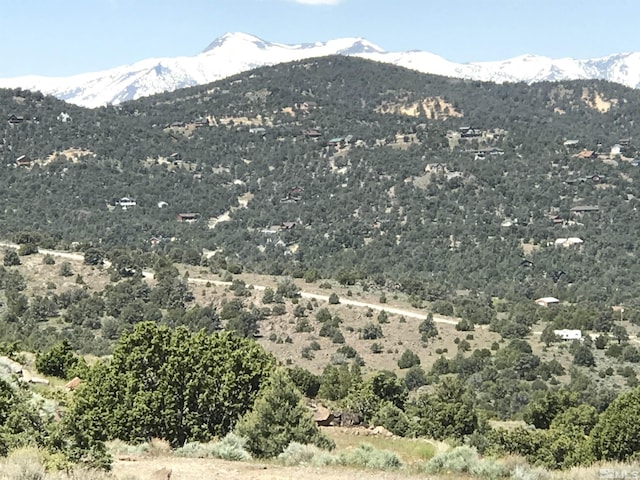3700 Palisade Rd, Reno, NV 89521