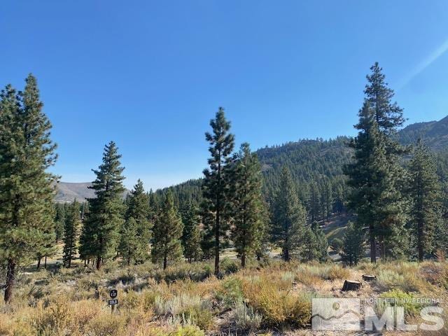 3253 Summit Camp Way, Carson City, NV 89705