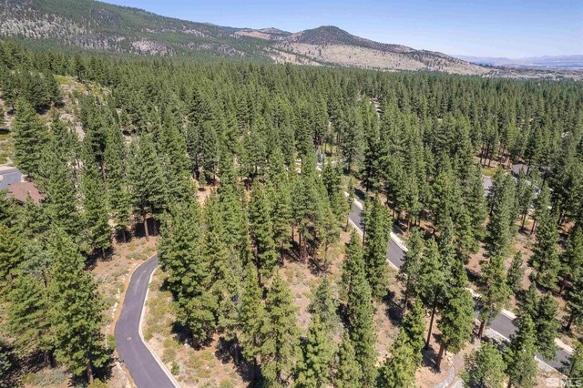 206 S Big Sage Ln, Reno, NV 89511
