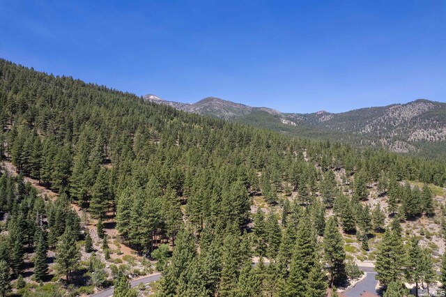 206 S Big Sage Ln, Reno, NV 89511