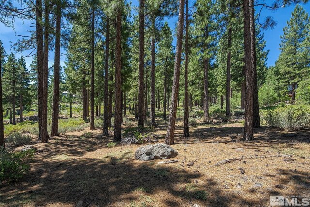 206 S Big Sage Ln, Reno, NV 89511