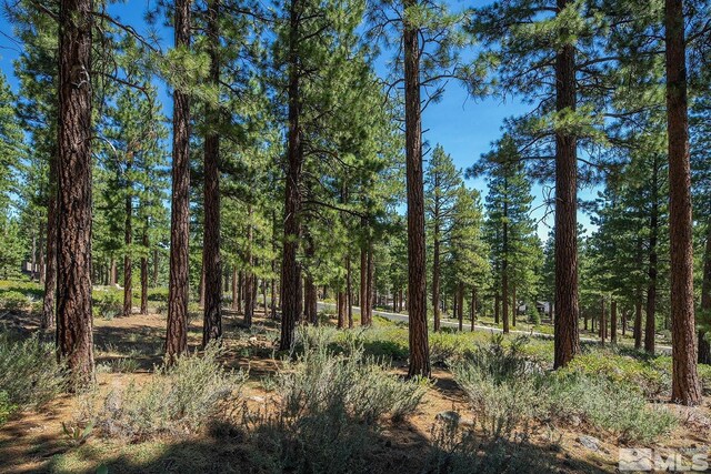 206 S Big Sage Ln, Reno, NV 89511